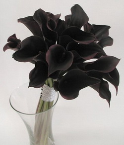 Black Flowers Background